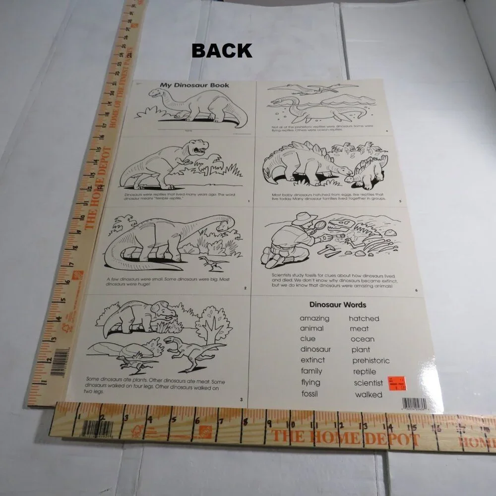 Dinosaur Classroom (8) LAMINATED posters Bulletin Board